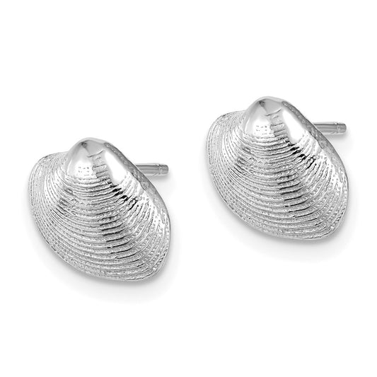 Buy Stylish 14K White Gold Clam Shell Stud Earrings - Affordable Luxury!