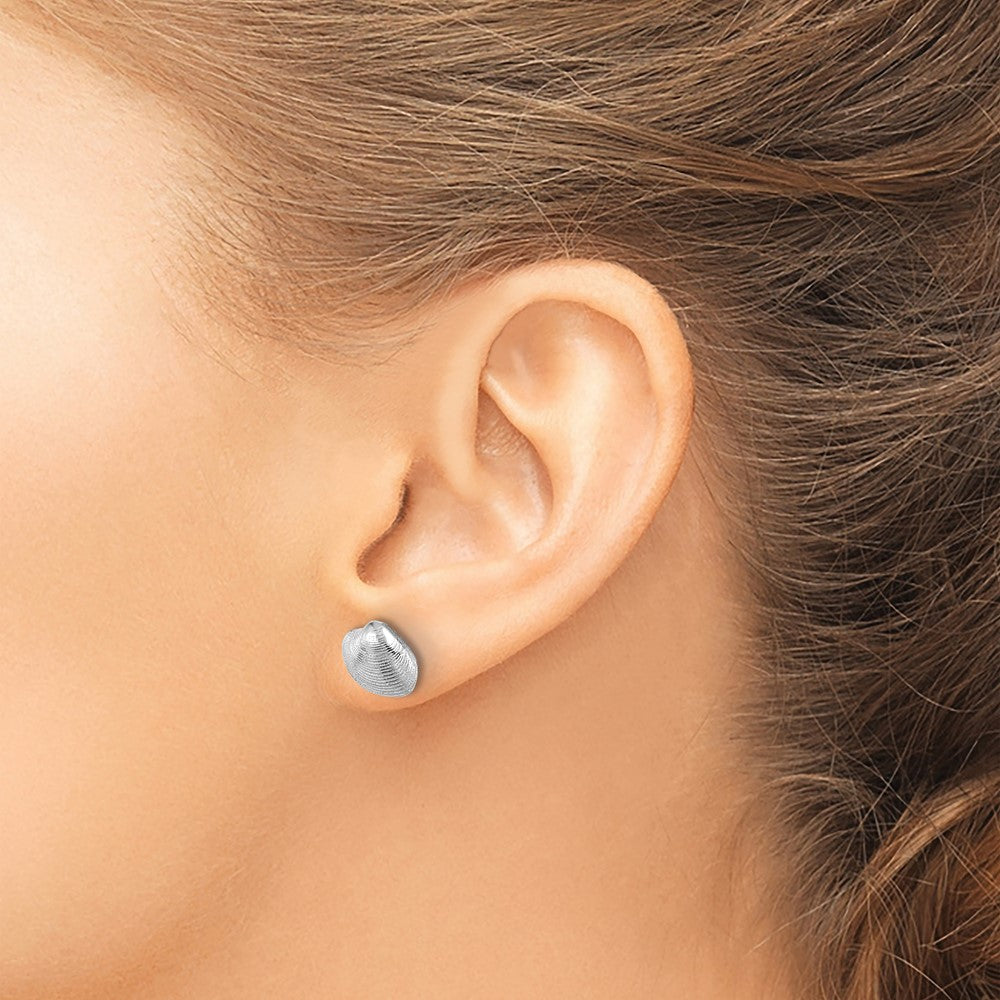 Buy Stylish 14K White Gold Clam Shell Stud Earrings - Affordable Luxury!