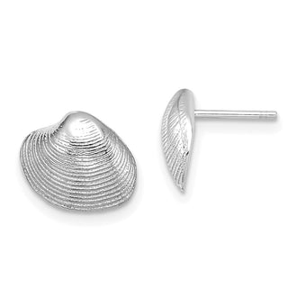 Buy Stylish 14K White Gold Clam Shell Stud Earrings - Affordable Luxury!