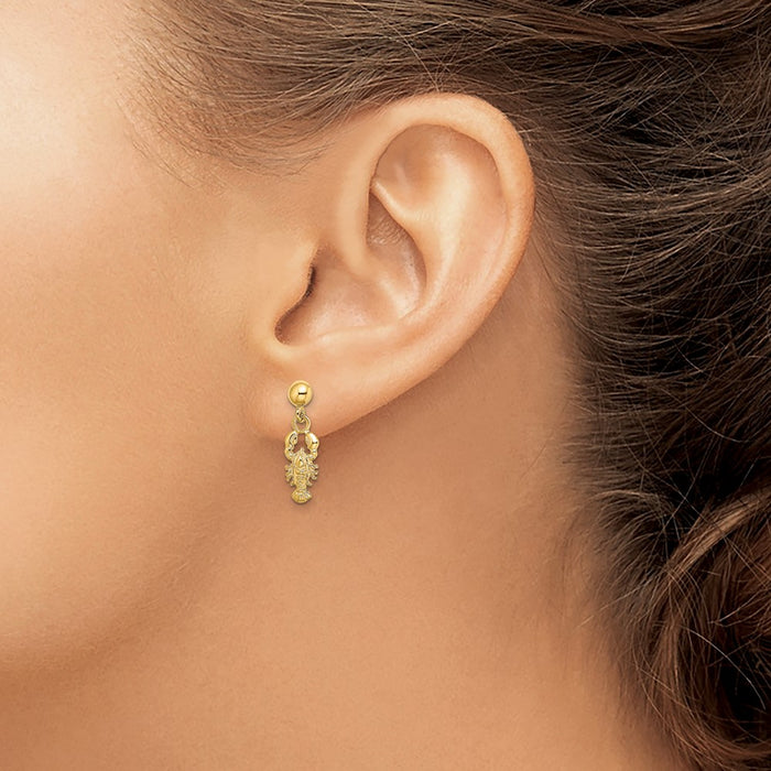 Shop Stylish 14K Gold Lobster Claw Dangle Earrings - Affordable Luxury Design-3