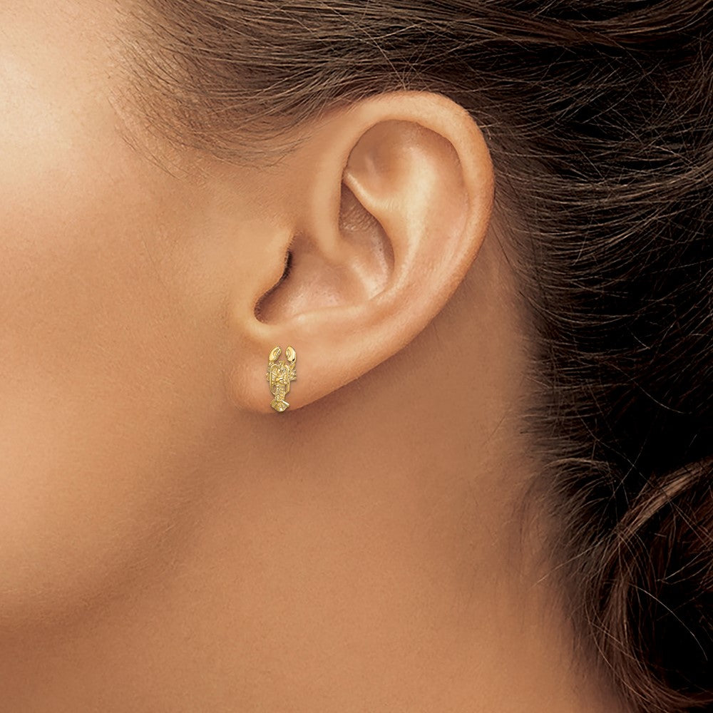 High-Quality 14K Gold 2-D Lobster Stud Earrings - Stylish & Affordable!
