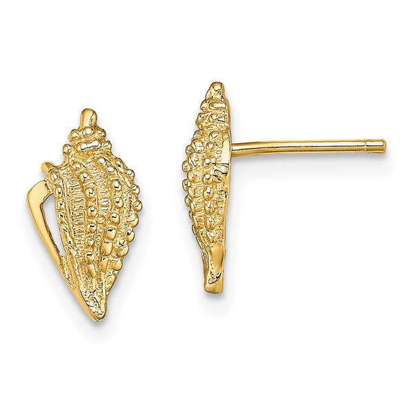 14K Gold Mini Conch Shell Stud Earrings