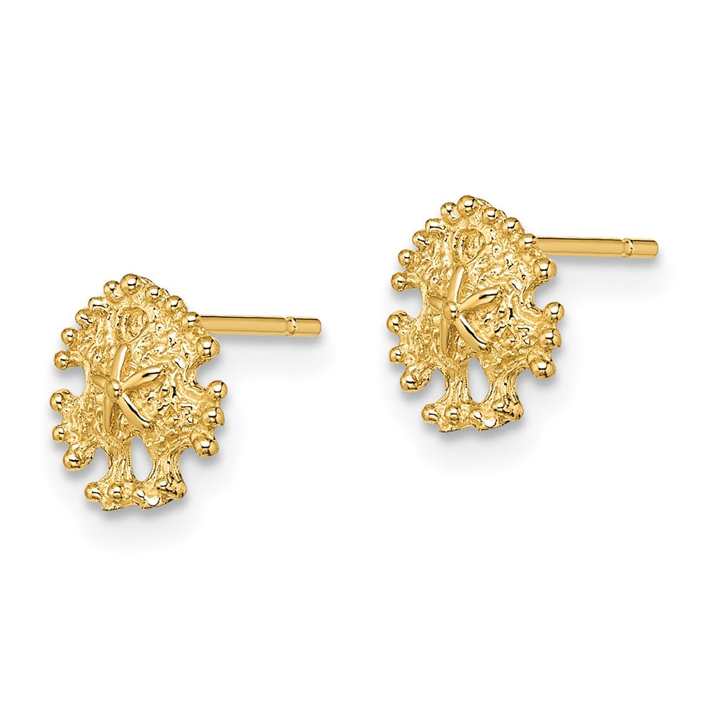 High-quality 14K Gold Mini Sand Dollar Stud Earrings - Stylish & Affordable!
