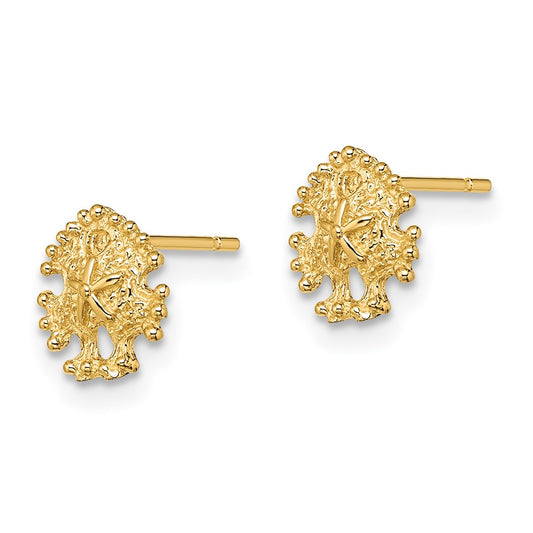 High-quality 14K Gold Mini Sand Dollar Stud Earrings - Stylish & Affordable!
