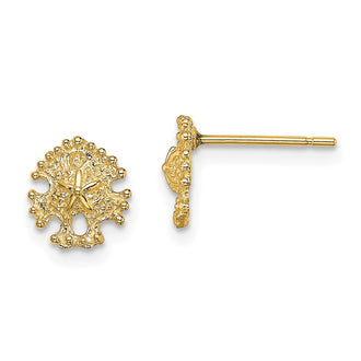 High-quality 14K Gold Mini Sand Dollar Stud Earrings - Stylish & Affordable!