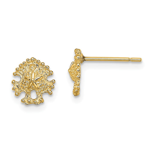 High-quality 14K Gold Mini Sand Dollar Stud Earrings - Stylish & Affordable!