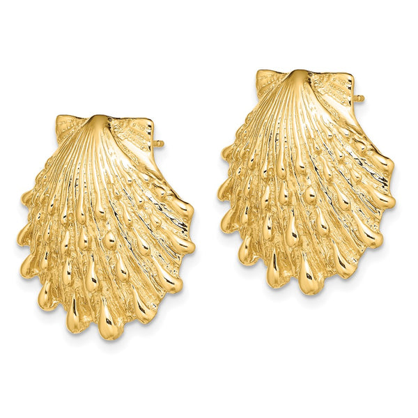 14K Gold Lion's Paw Shell Stud Earrings