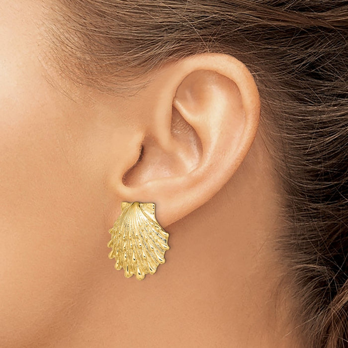 Shop Stylish 14K Gold Lion's Paw Shell Stud Earrings - Exclusive Design, Luxury Value-3