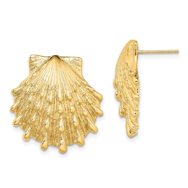 14K Gold Lion's Paw Shell Stud Earrings