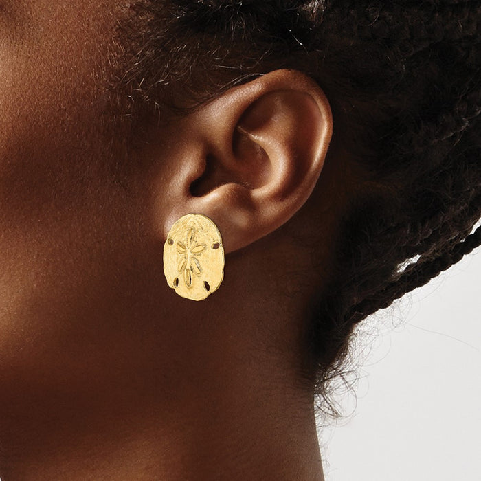 Exclusive 14K Gold Polished Sand Dollar Stud Earrings - Stylish Value at 0.85mm-3