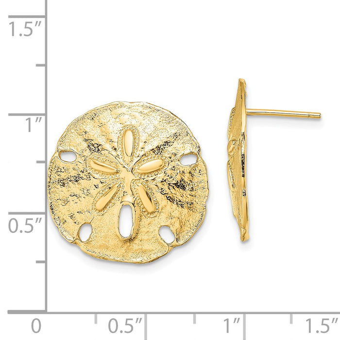 Exclusive 14K Gold Polished Sand Dollar Stud Earrings - Stylish Value at 0.85mm-4