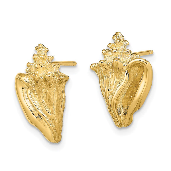 14K Gold Two-Dimensional Conch Shell Stud Earrings - 3g