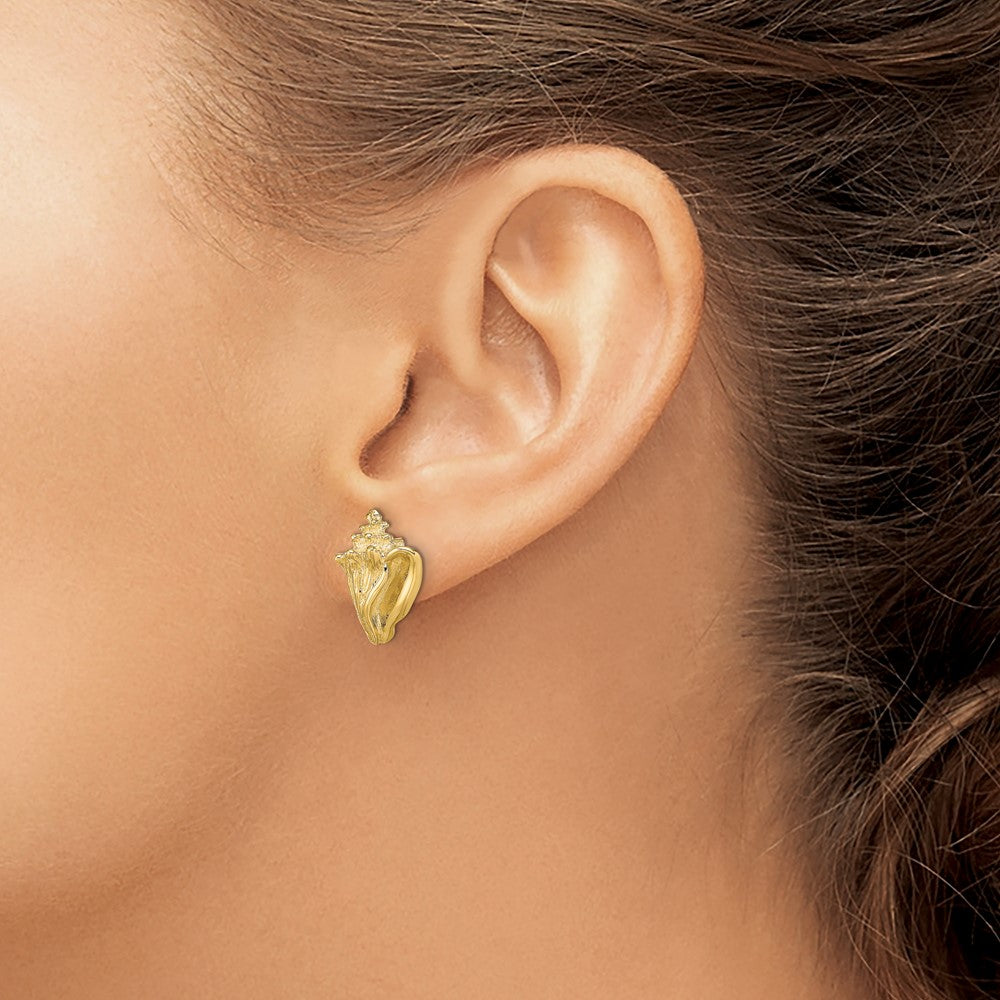 Buy Stylish 14K Gold Two-Dimensional Conch Shell Stud Earrings - 3g