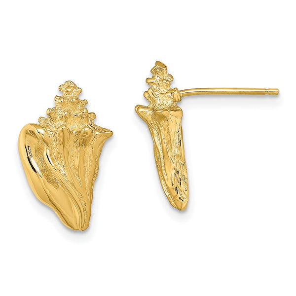 14K Gold Two-Dimensional Conch Shell Stud Earrings - 3g