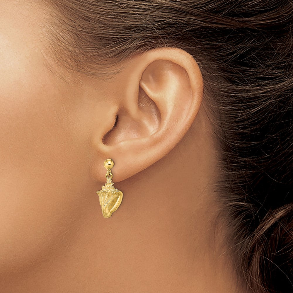 Buy Stylish 14K Gold Conch Shell Drop Earrings - Lightweight & Affordable Luxury