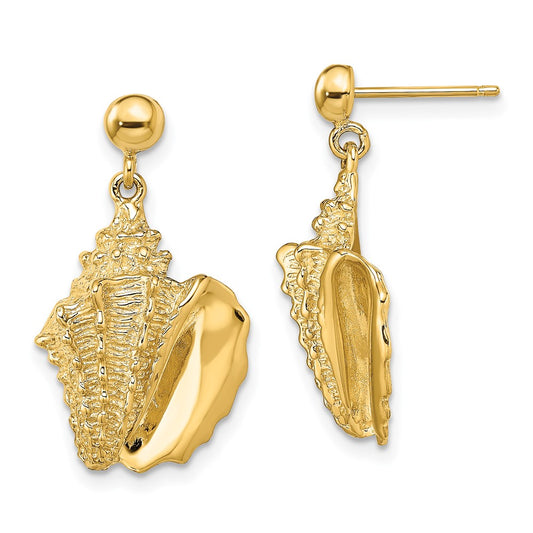 Designer 14K Gold 2-D Conch Shell Dangle Earrings - Stylish & Affordable Value