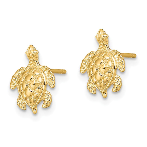 14K Gold Textured Sea Turtle Stud Earrings - 2D