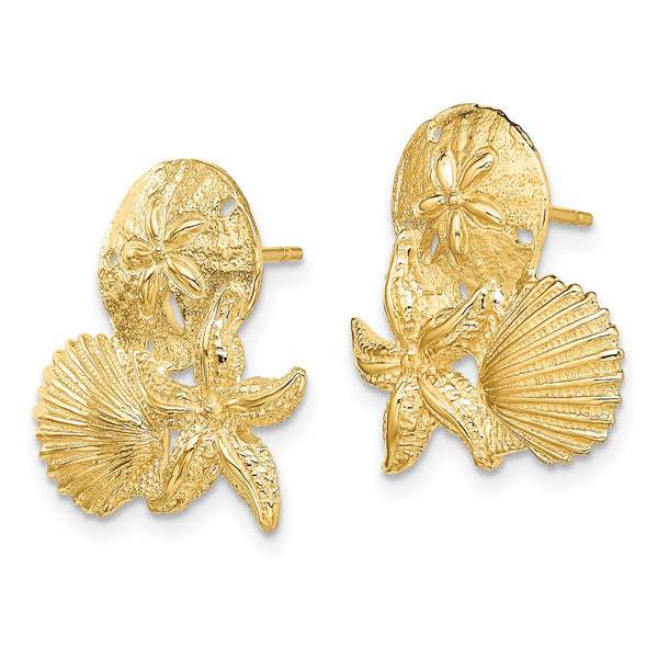 14K Gold Sand Dollar & Starfish Stud Earrings - Cluster