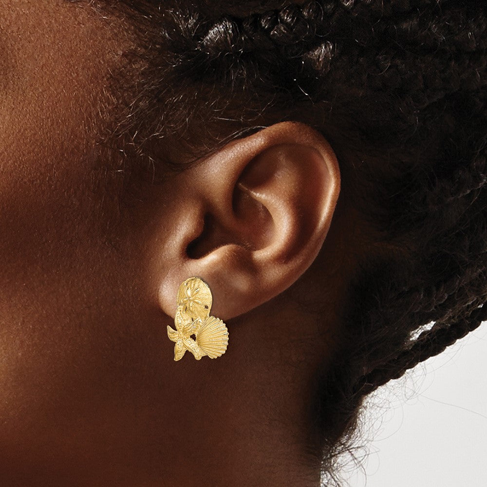 Shop Exclusive 14K Gold Sand Dollar & Starfish Stud Earrings - Stylish Cluster Design