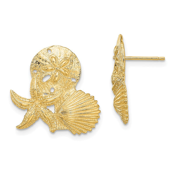 14K Gold Sand Dollar & Starfish Stud Earrings - Cluster