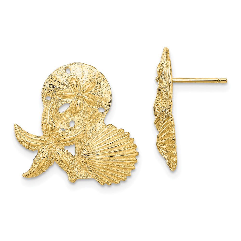 Shop Exclusive 14K Gold Sand Dollar & Starfish Stud Earrings - Stylish Cluster Design