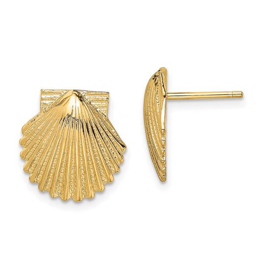 Buy Exclusive 14K Gold Polished Scallop Shell Earrings - Stylish 2D Design