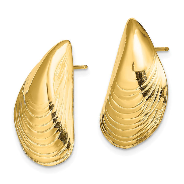 14K Gold Polished Mussel Shell Stud Earrings