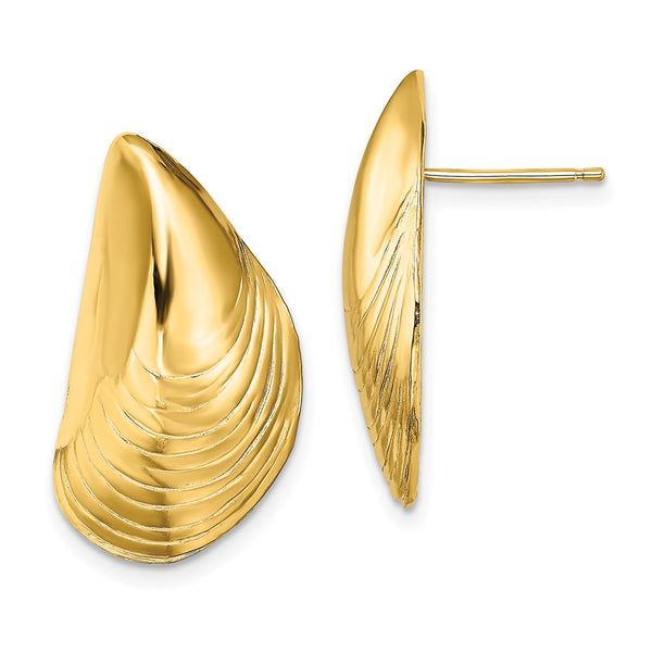 14K Gold Polished Mussel Shell Stud Earrings