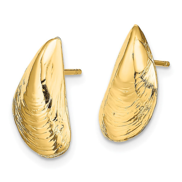 14K Gold Mussel Shell Stud Earrings