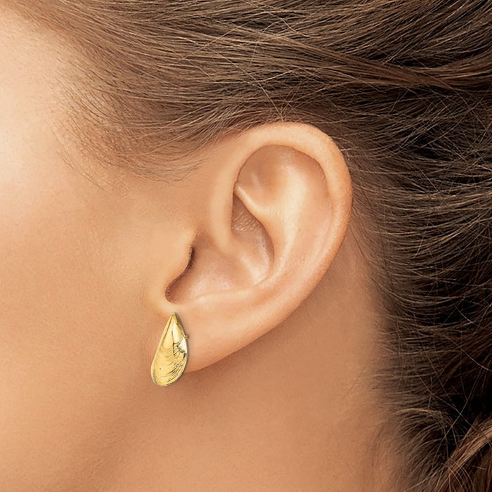 Shop Stylish 14K Gold Mussel Shell Stud Earrings - Exclusive Design, Value Accessory-3