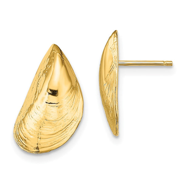 14K Gold Mussel Shell Stud Earrings