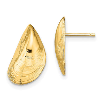 Shop Stylish 14K Gold Mussel Shell Stud Earrings - Exclusive Design, Value Accessory
