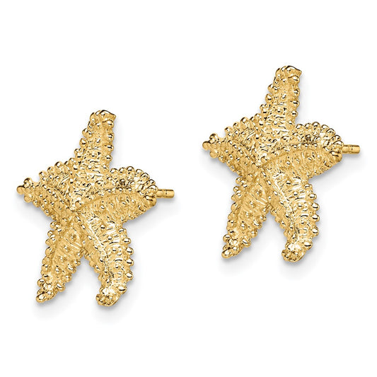 Buy Stylish 14K Gold Textured Starfish Post Earrings - Affordable Luxury Design