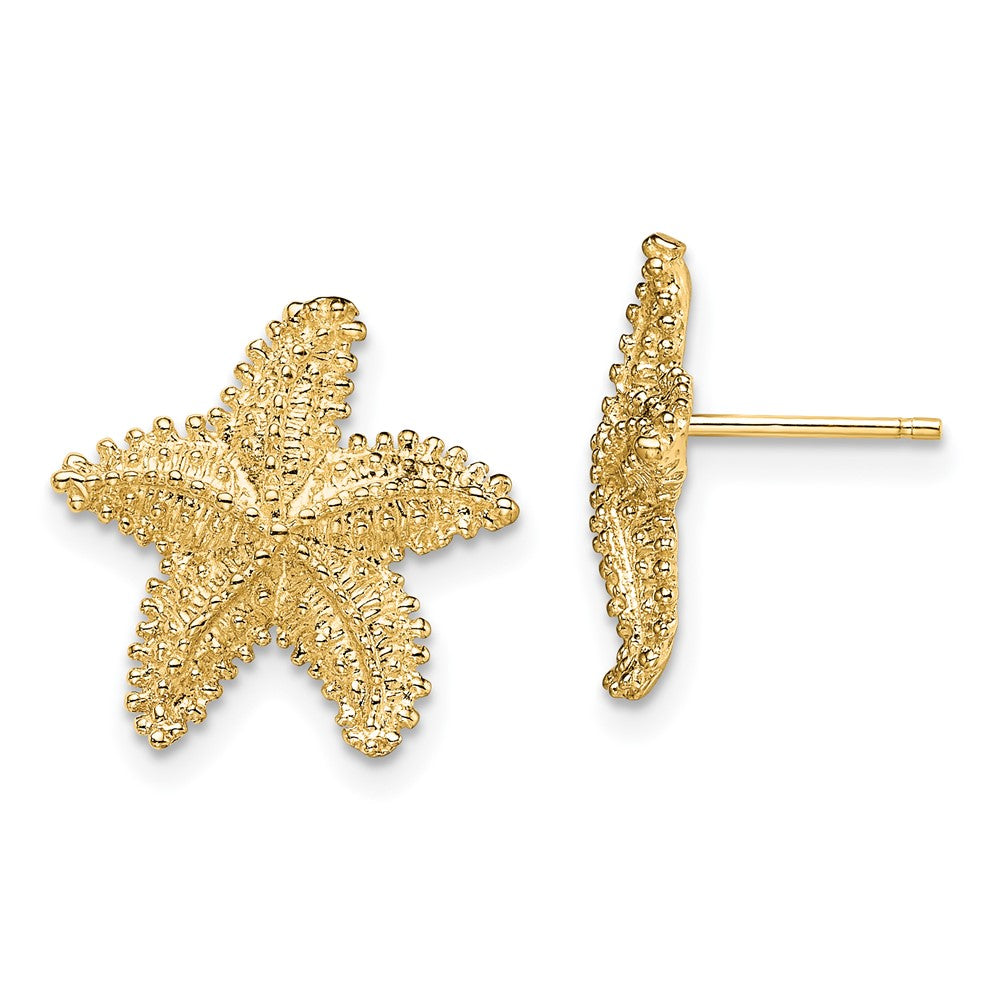 Buy Stylish 14K Gold Textured Starfish Post Earrings - Affordable Luxury Design