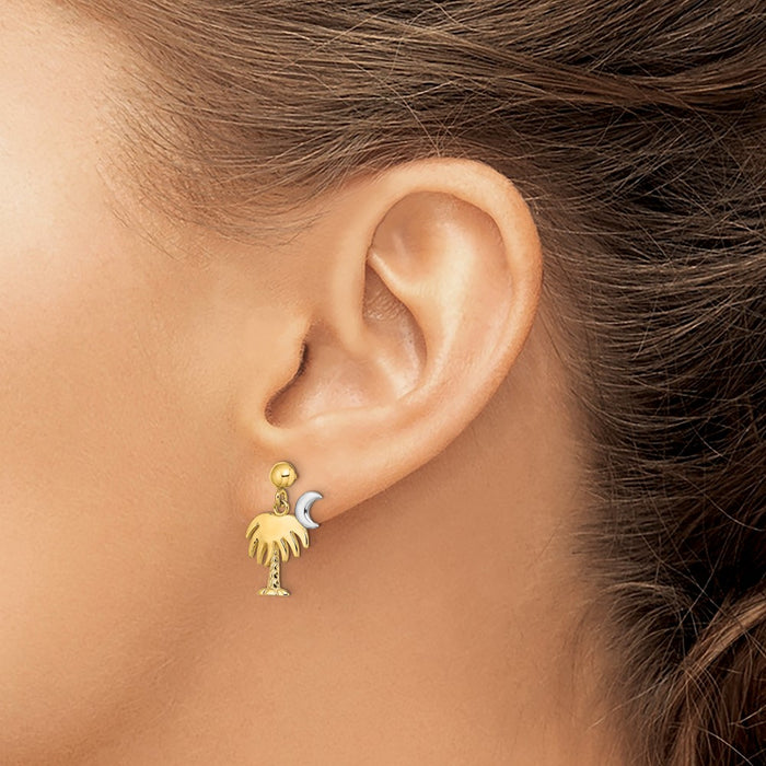 Shop Stylish 14K White Gold Charleston Palm Tree & Moon Dangle Earrings - Luxury Design-3