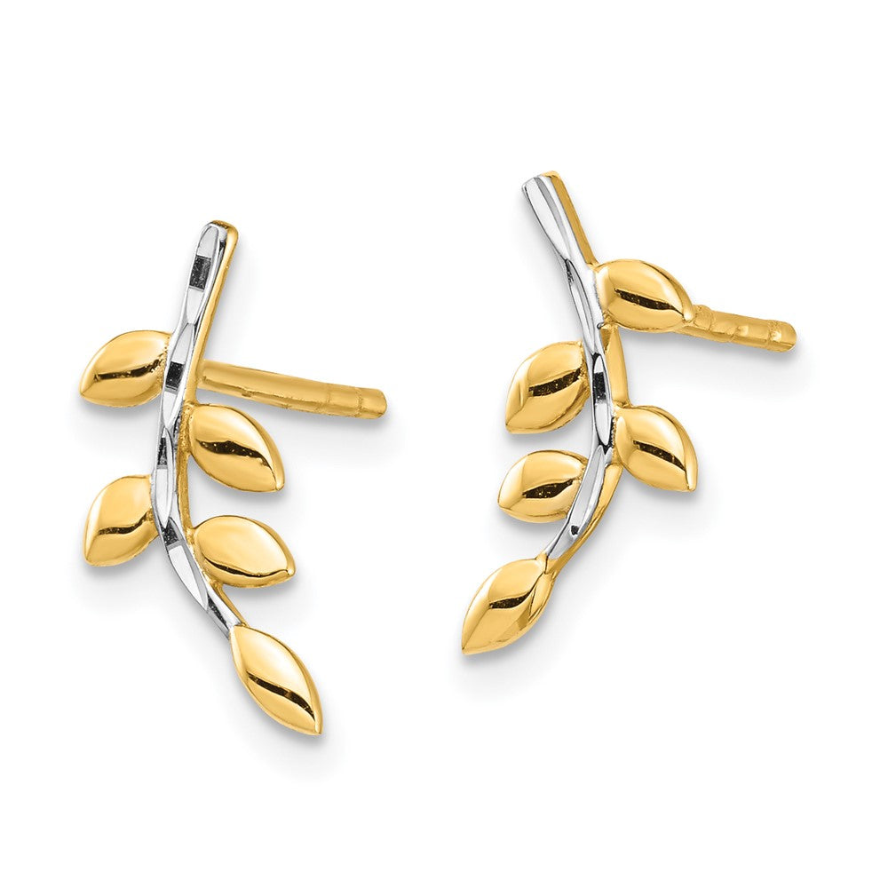 Buy Stylish 14K Gold Leaf Design Post Earrings | Affordable Luxury