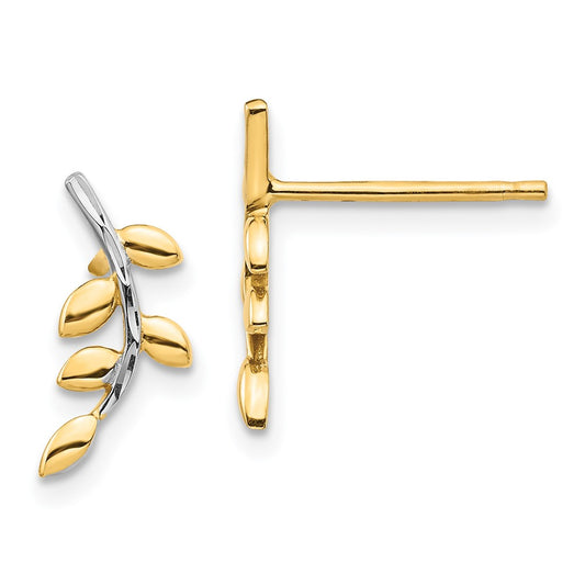Buy Stylish 14K Gold Leaf Design Post Earrings | Affordable Luxury