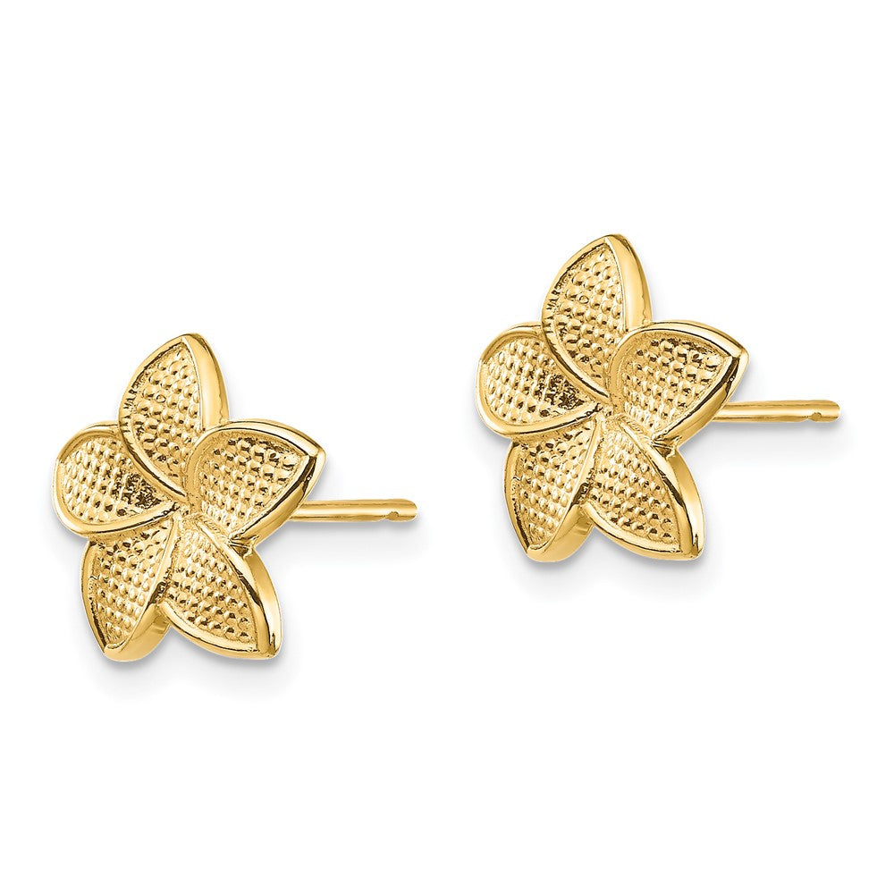 Shop Stylish 14K Gold Plumeria Stud Earrings - Polished & Textured Design