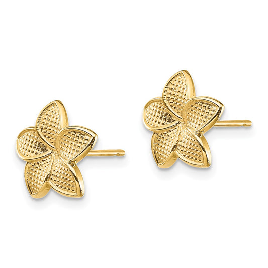 Shop Stylish 14K Gold Plumeria Stud Earrings - Polished & Textured Design