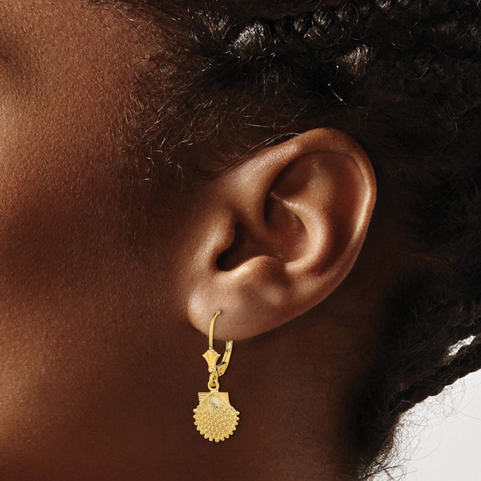 Buy Stylish 14K Gold Leverback Earrings - 2-D Beaded Scalloped Shell Design-3