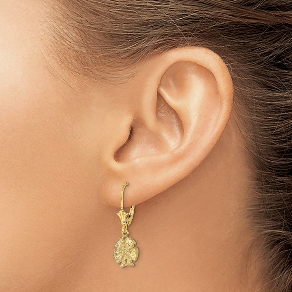 High-Quality 14K Gold Sand Dollar & Star Leverback Earrings | Stylish Value