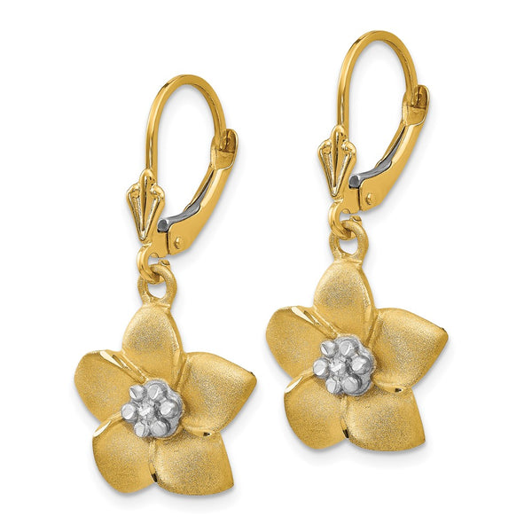 14K Gold Plumeria Flower Earrings