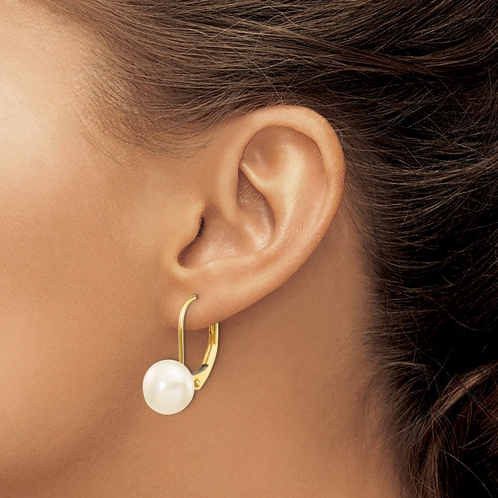 Buy Stylish 14K Gold Leverback Earrings with 7-8mm Freshwater Pearls