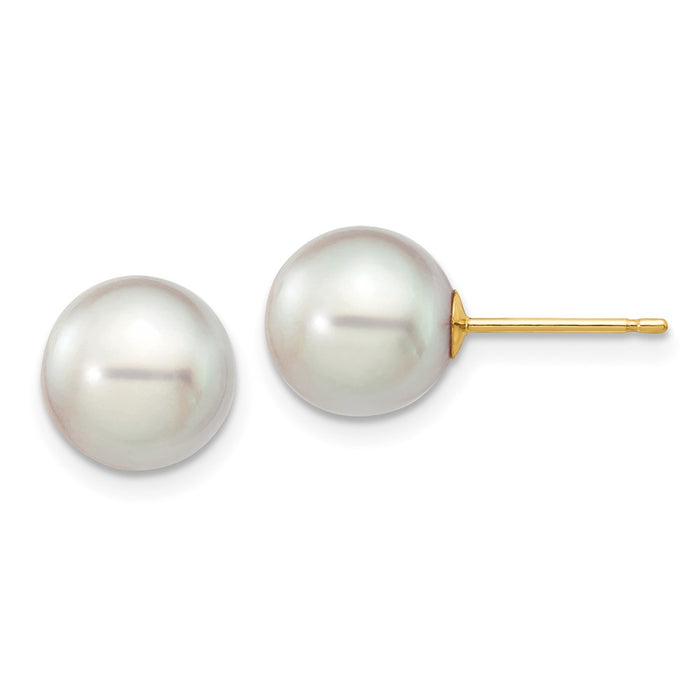 Shop Stylish 14K Gold Grey Round Akoya Pearl Stud Earrings - 8-9mm Luxury-1