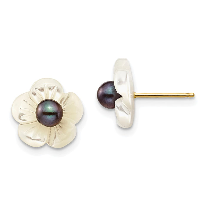 High-Quality 14K Gold Pearl Earrings with 10mm Mother of Pearl - Stylish Value-1