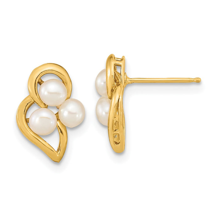 Buy Exclusive 14K White Gold Freshwater Pearl Earrings | 3-4mm Stylish Value-1