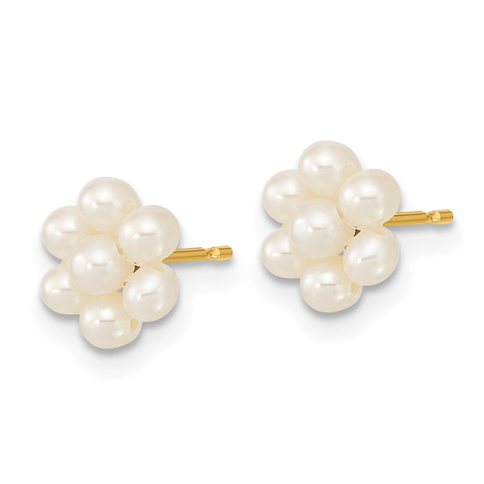 Exclusive 14K White Gold Flower Earrings with 2-3mm Pearls - Stylish Value