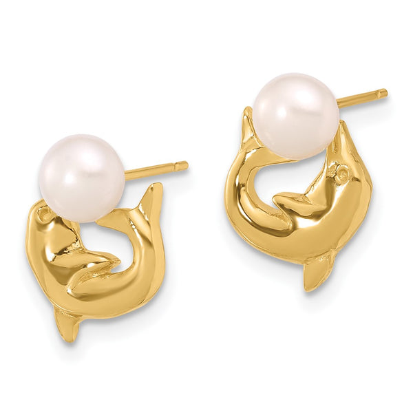 14K Gold Dolphin Post Earrings with 5-6mm Freshwater Pearls
