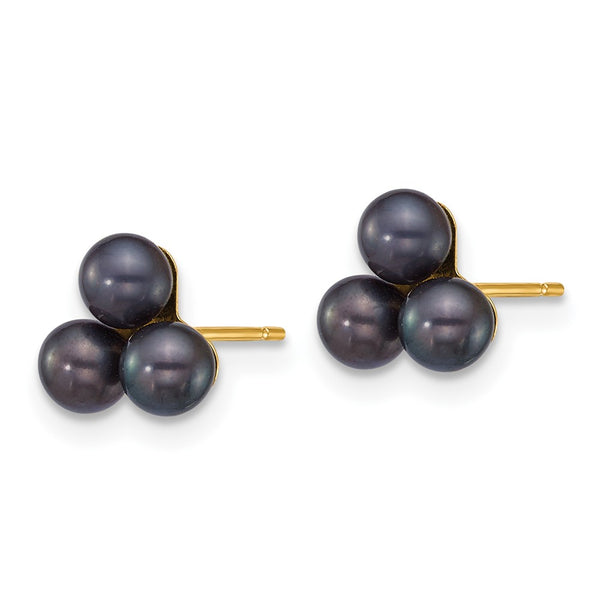 14K Gold Polished Black Pearl Earrings - 3-4mm