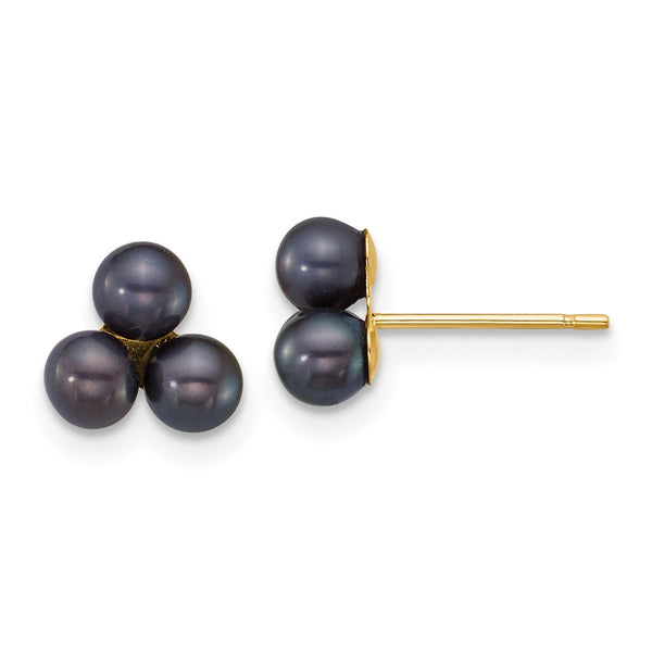 14K Gold Polished Black Pearl Earrings - 3-4mm